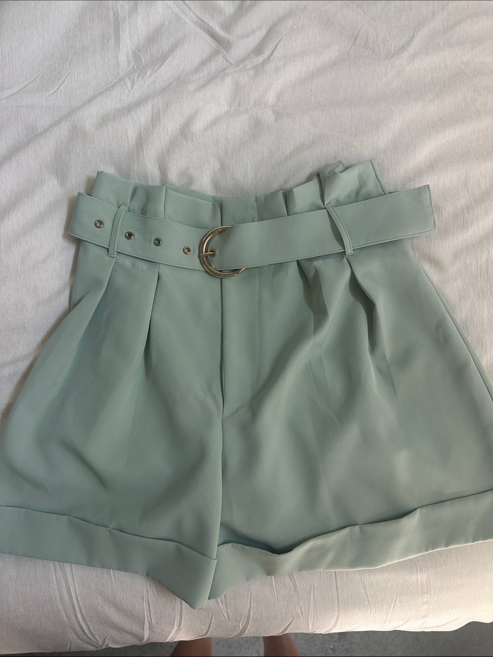 Vici Mint Green High-Waist Belted Paperbag Shorts
